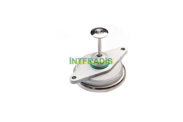 Válvula EGR INTFRADIS ref. 25561